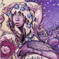 Baroness : Try to Disappear